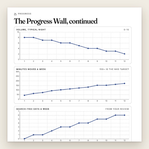 The Progress Wall with three hand-drawn lines over twelve weeks