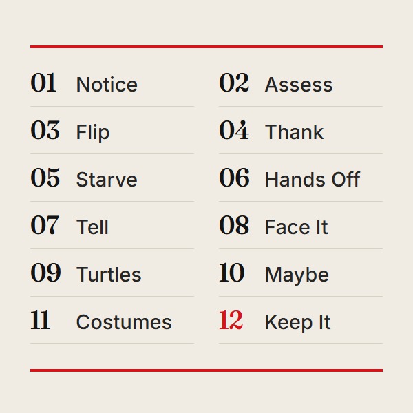 The twelve weekly skills, from Notice to Keep It